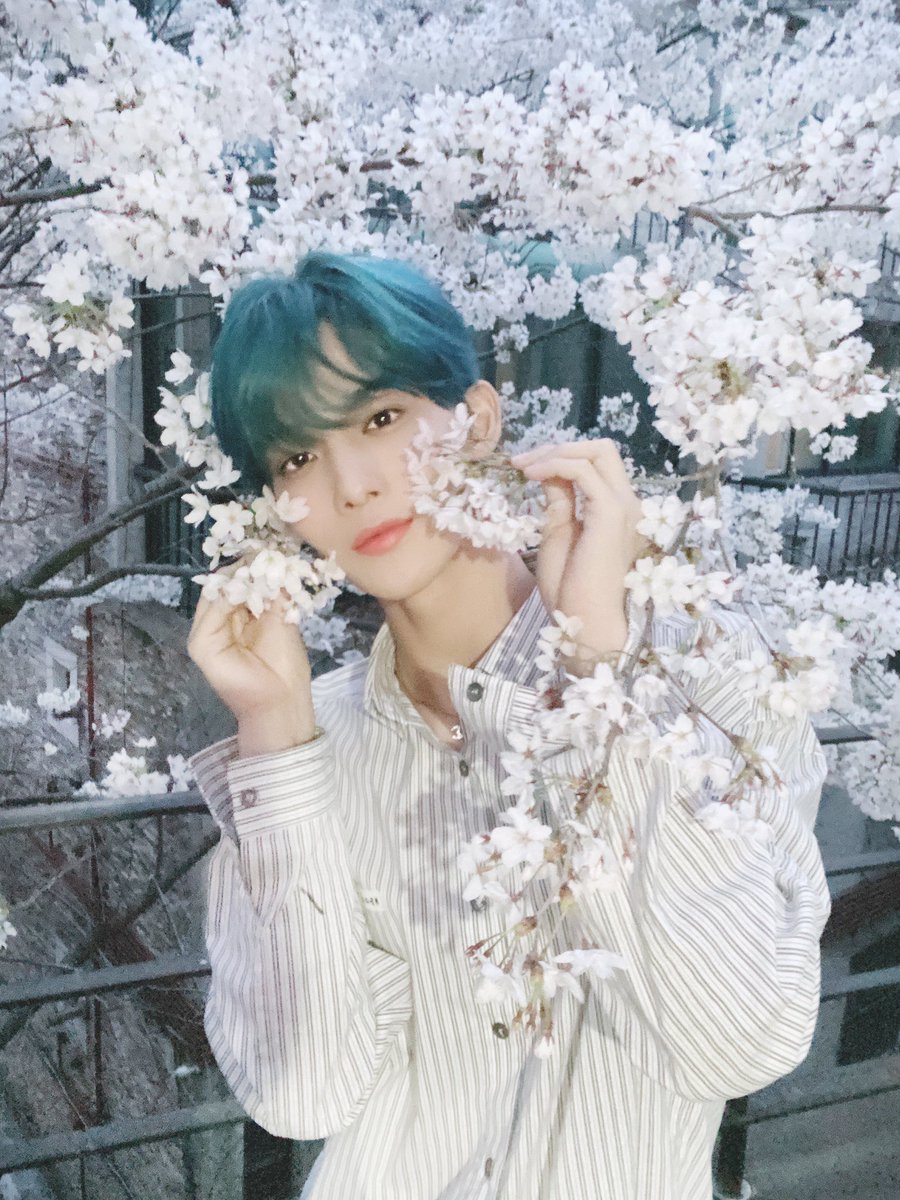 CIX_Official's tweet photo. [#CIX]
꽃 너무 이쁘죠🌸😚💓

누가 꽃일까요? 😊ㅋㅋㅋㅋㅋㅋㅋㅋㅋㅋㅋㅋㅋㅋㅋㅋㅋㅋㅋㅋㅋㅋㅋㅋ🤣🤮 

#씨아이엑스 #배진영 #BAEJINYOUNG https://t.co/F13C1Uws3p