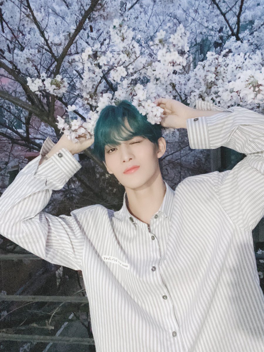 CIX_Official's tweet photo. [#CIX]
꽃 너무 이쁘죠🌸😚💓

누가 꽃일까요? 😊ㅋㅋㅋㅋㅋㅋㅋㅋㅋㅋㅋㅋㅋㅋㅋㅋㅋㅋㅋㅋㅋㅋㅋㅋ🤣🤮 

#씨아이엑스 #배진영 #BAEJINYOUNG https://t.co/F13C1Uws3p