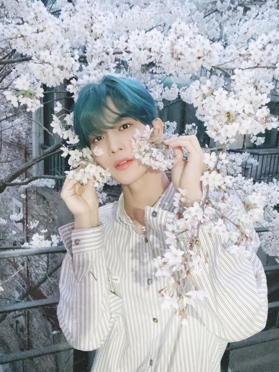 CIX_Official's tweet photo. [#CIX]
꽃 너무 이쁘죠🌸😚💓

누가 꽃일까요? 😊ㅋㅋㅋㅋㅋㅋㅋㅋㅋㅋㅋㅋㅋㅋㅋㅋㅋㅋㅋㅋㅋㅋㅋㅋ🤣🤮 

#씨아이엑스 #배진영 #BAEJINYOUNG https://t.co/F13C1Uws3p