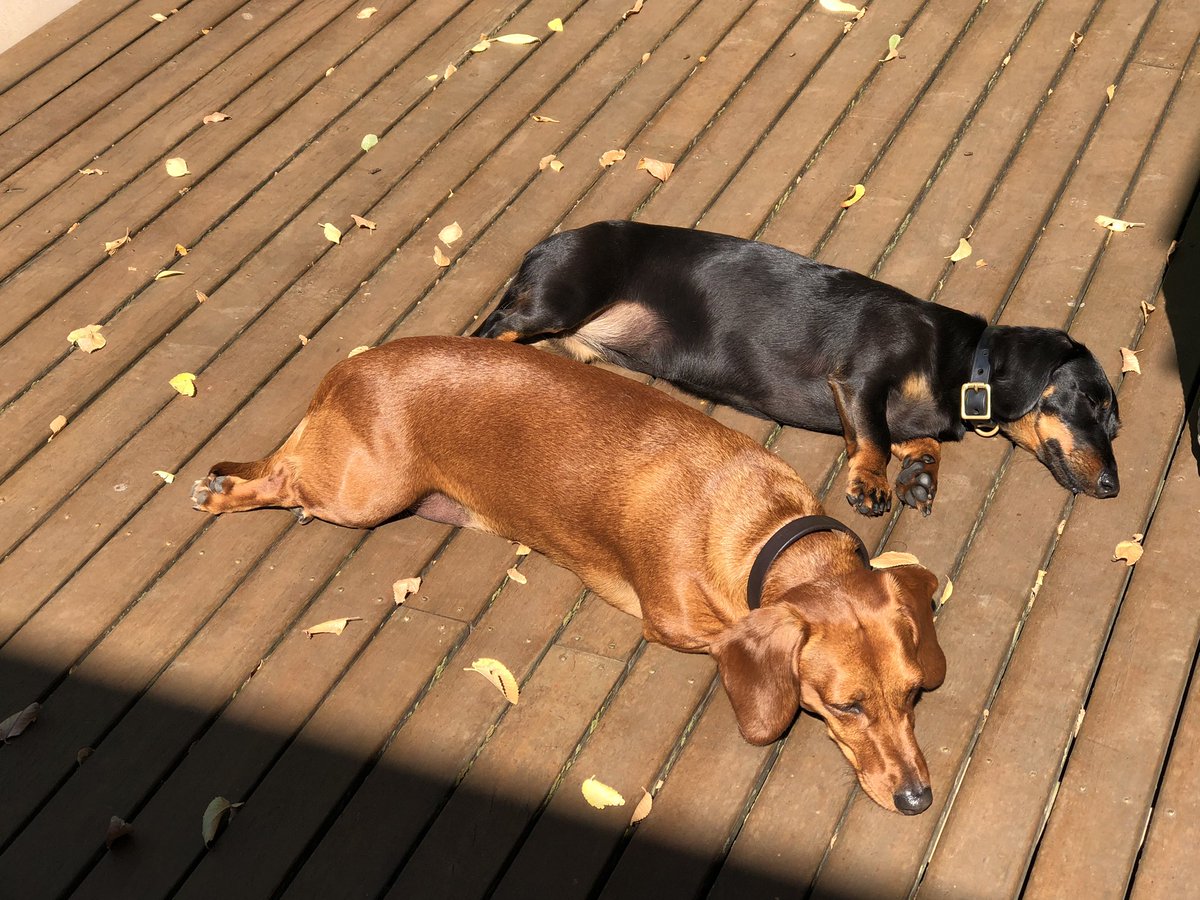 Jennifer Batrouney QC tweet media