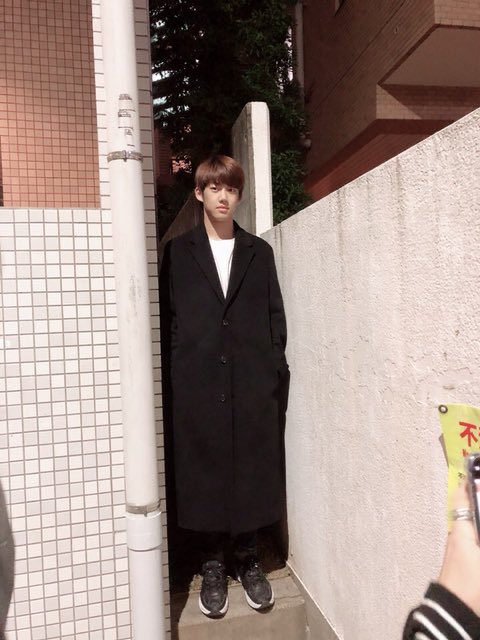 180cm 넘는 남돌봇 tweet media