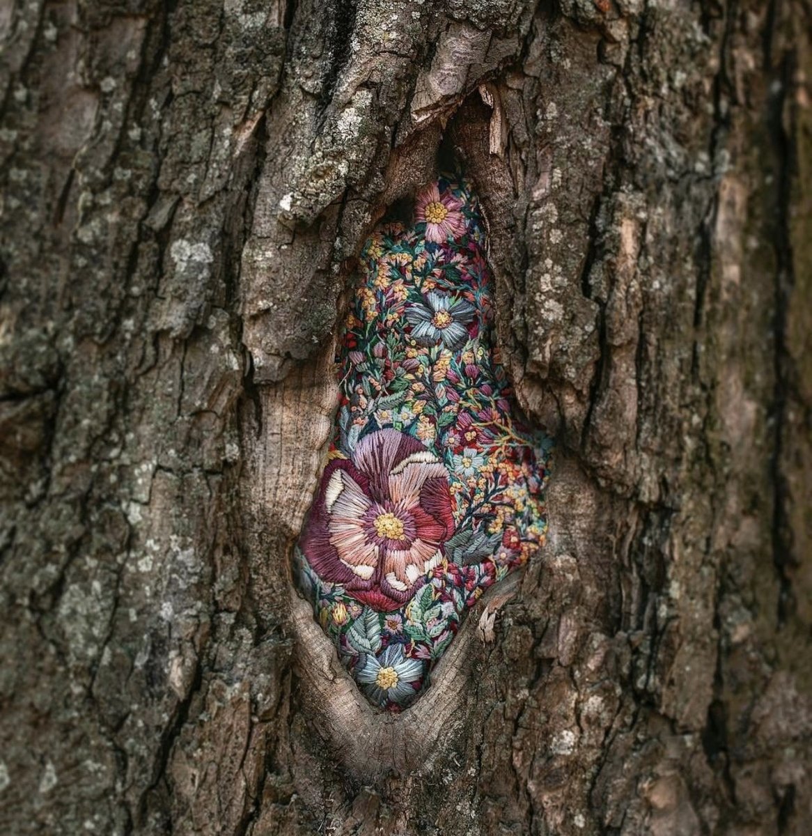 womensart1's tweet photo. Artist Diana Yevtukh often displays her embroidered textile art within nature, such as placing her pieces on trees #womensart https://t.co/5xh3IZxQ1D