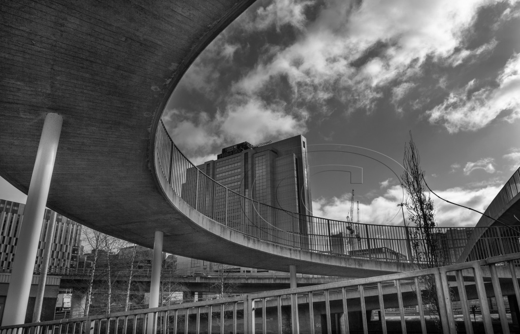 Sandy Young tweet media