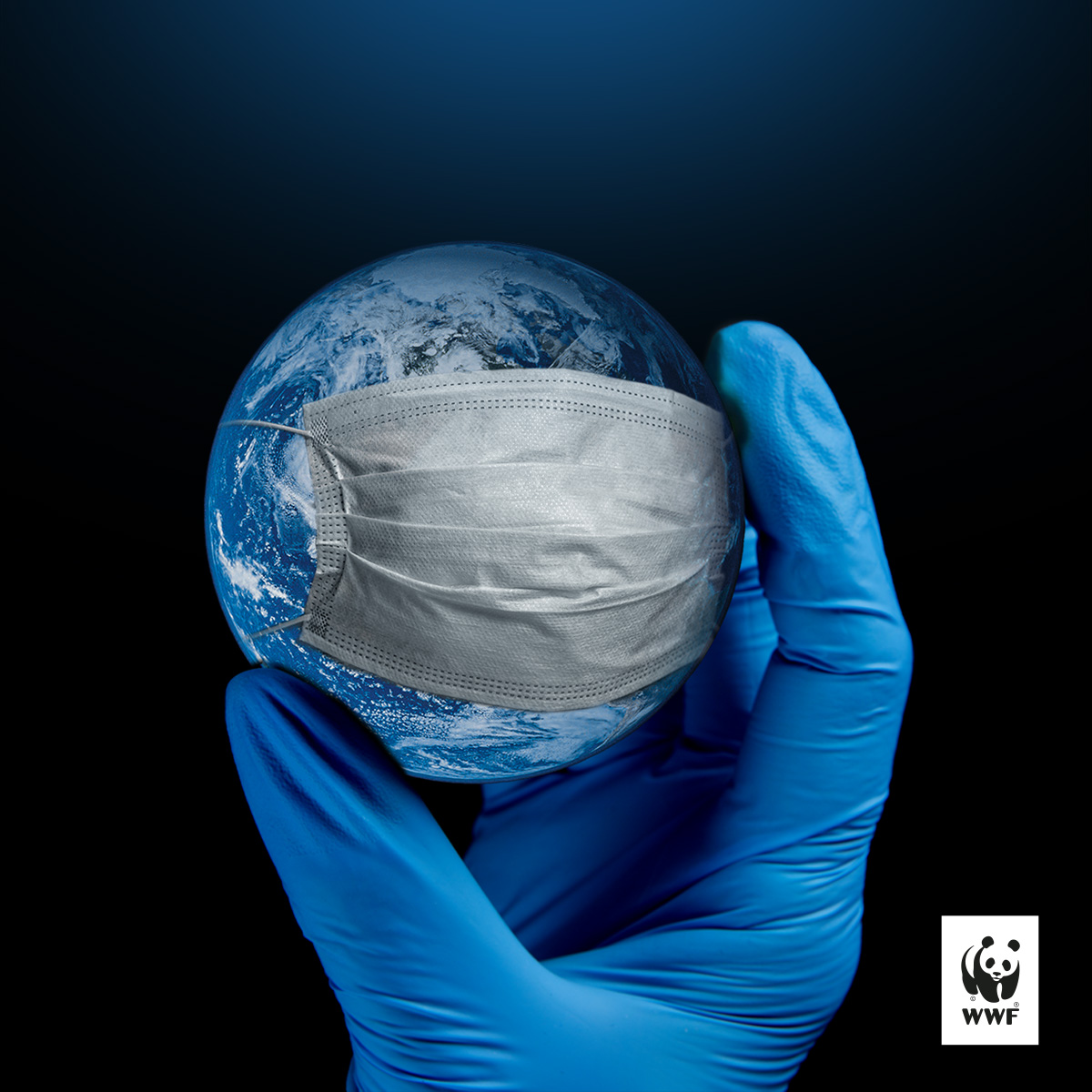 Al termine dell’inverno più caldo di sempre in #Europa, un nuovo report del <a href="/WWFitalia/">wwfitalia</a> mette in evidenza il legame tra cambiamento climatico e #malattie trasmissibili: scopri come la crisi climatica incide su zoonosi e #salute umana
➡️wwf.it/perditadibiodi… 

#ClimateChange