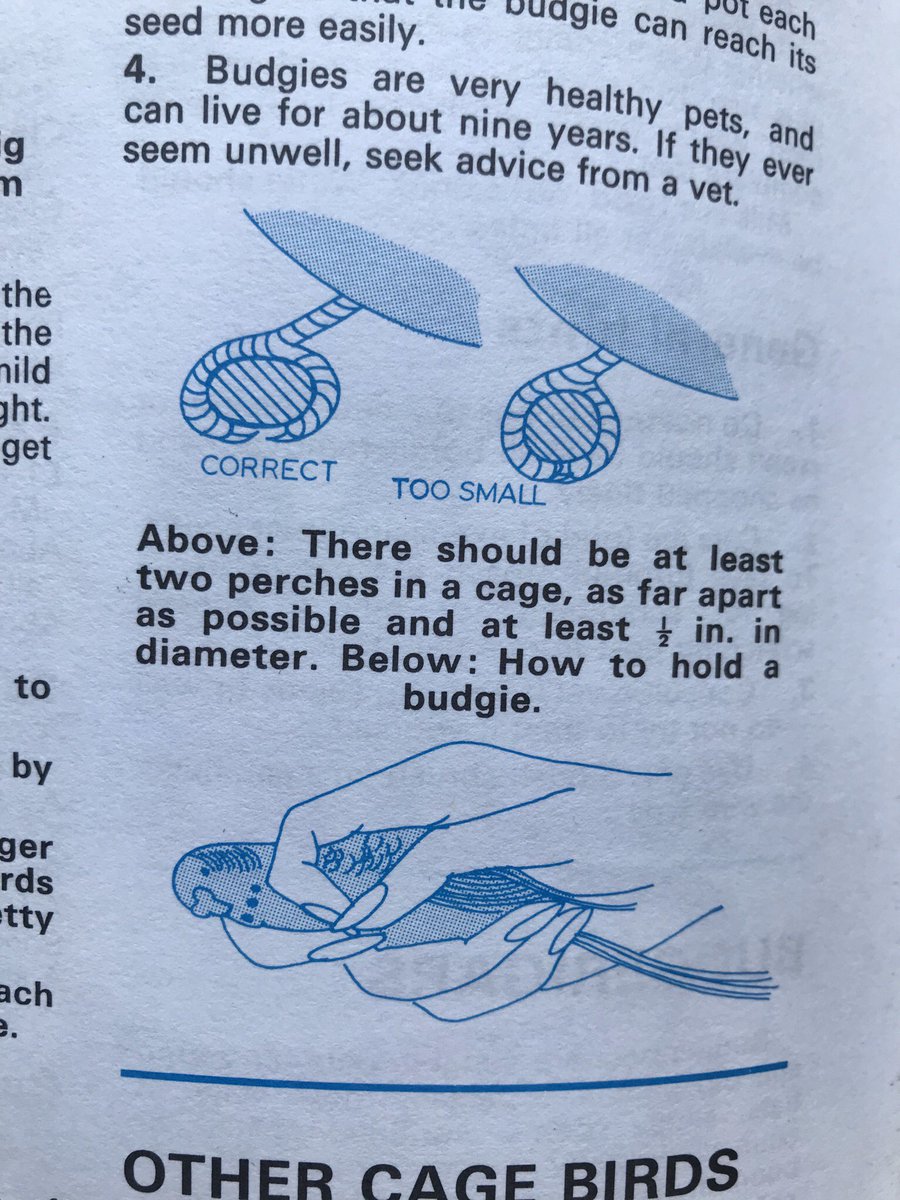 It’s the seeming randomness of the book when flicking through that I like. You can go from car maintenance, to the correct diameter of perch for a budgie (and how to correctly hold a budgie).