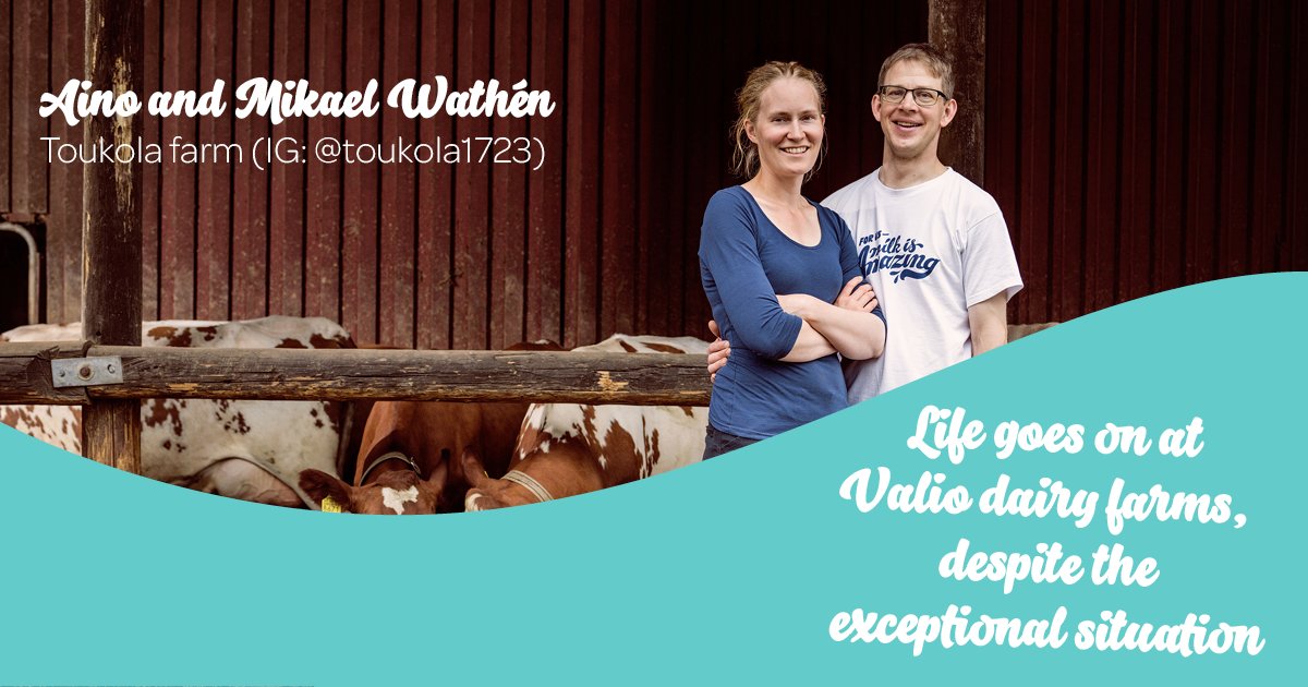"Animals must be cared for and milk delivered every single day – whether an exceptional situation or not.” 🐄 Read about daily life at the Toukola dairy farm! bit.ly/2xRjvVW