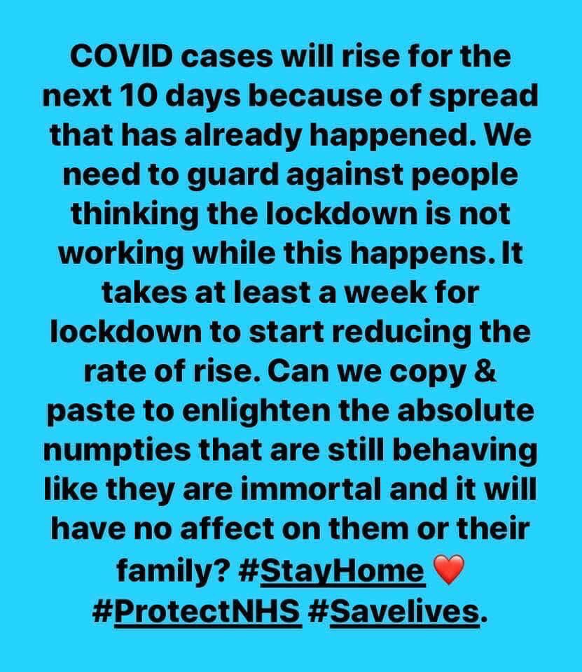 Damian’s Dollars 🦁💰 tweet media