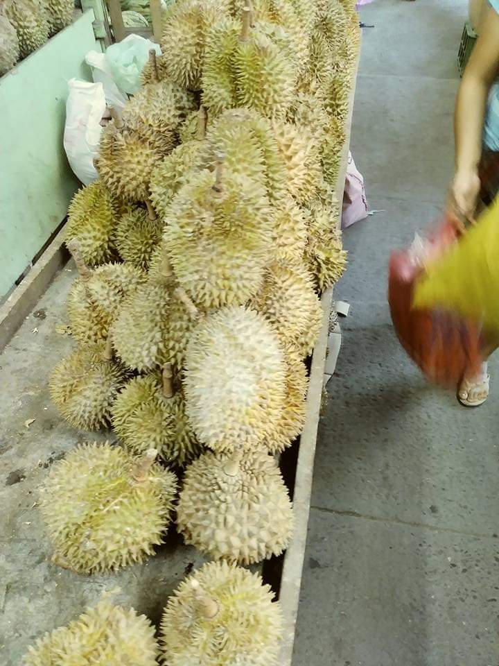 JustEllen8's tweet photo. @MissMarisRacal Durian para nimu 😂😂  @MissMarisRacal https://t.co/yqFwjwyN0X
