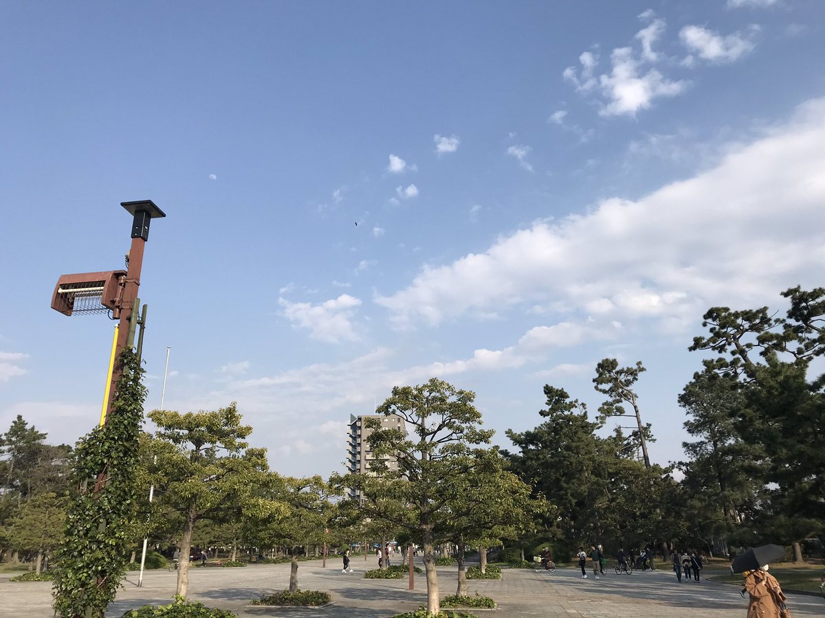 annann2010's tweet photo. テニスコート近くの公園
桜がとっても綺麗でした🌸
チューリップ🌷も見事‼️
それぞれにラジオネームに出て来そうな名前が付いていて、クスッと笑える😁
空を見上げれば龍に見えなくもない雲が〜〜良いことが起こるよね、きっと💕
#お花見気分 https://t.co/zs6Wwzg2fN