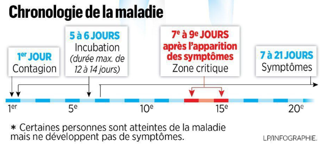 BNF75's tweet photo. #Coronavirus : «Peut-on avoir le #Covid19 sans le savoir ?»
La réponse est OUI et ce, pour deux raisons.
De nombreux patients infectés s’en rendent pas compte car ils n’ont pas de symptômes...
https://t.co/P5itPsBhez
PS: d'un âne, tu ne feras jamais un cheval de course ! ^^ https://t.co/yaNd4gmDFP