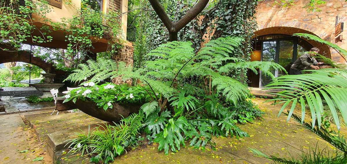 blackhorseR98's tweet photo. Brewery Gardens at Black Horse, lovely rain during the lockdown. #cardinalbar ##moralitygin #Gardens https://t.co/BxcHuxaMRW