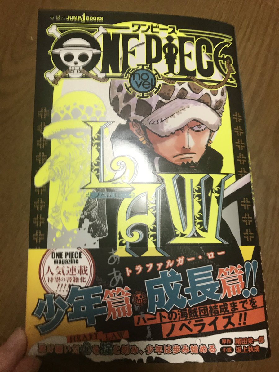 小説本 ワンピース ノベル ロー 感想 評価まとめ トラファルガー ローの少年編 ハートの海賊団結成までを補完する良作だったな One Piece Novel Law レビュー ネタバレ少 電書速報 電子書籍新聞