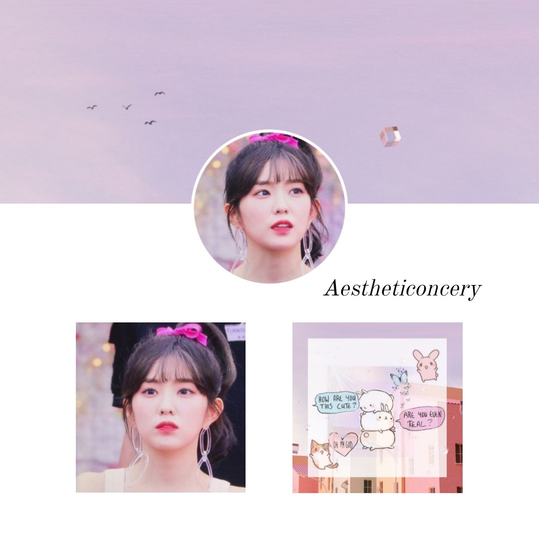 aestheticoncery's tweet photo. ♡： Irene Red Velvet Aesthetic Packs.
     （ Profile    Picture    +     Header   + 
       Featured. ）

#Irene #RedVelvet #AestheticPacks #Layout #IrenePacks #IreneAestheticPack https://t.co/AeBPrs3a6C