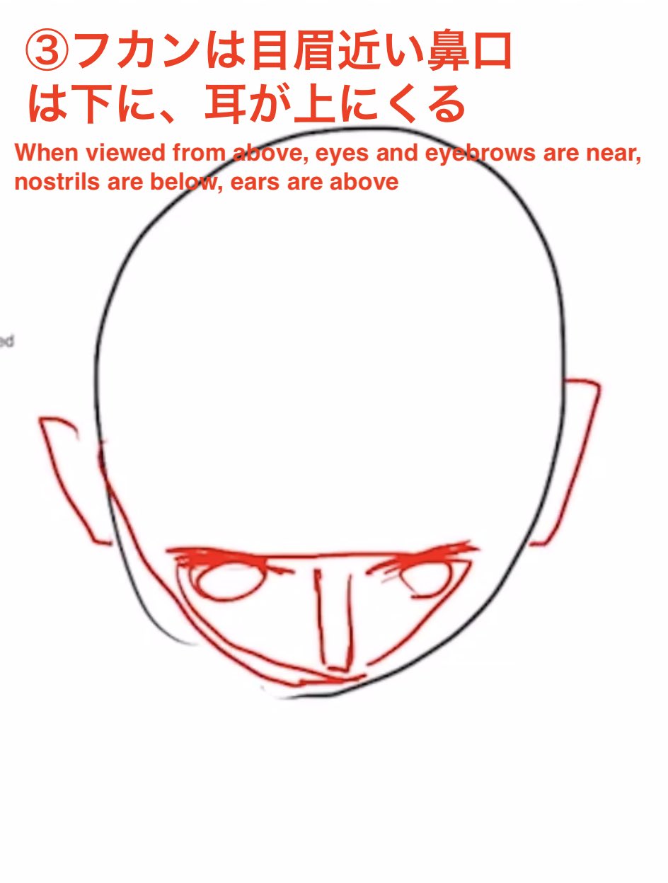 アニメ私塾 フカンアオリ顔の描き方 顔を三角形で捉える 三角形に角度をつける フカンは目眉近い鼻口は下に 耳が上にくる アオリは眉が目の斜め上 耳が下にくる アニメ私塾 フカンアオリ顔の描き方 顔を三角形で捉える 三角形に角度をつける フカンは目眉近い鼻口は下に 耳が上にくる アオリは眉が目の斜め上 耳が下にくる