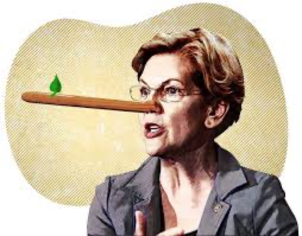 IndieSindie's tweet photo. @RespectableLaw #LipServiceLiz's legislative voting records speak louder than her pandering words! #WhereWasLiz when @SenSanders asked her to co-sponsor all the bills he authored years ago & then suddenly claimed, "I have a plan for that" on her campaign? WAS she at #StandRock #NoDAPL? https://t.co/gFVcETKoDG