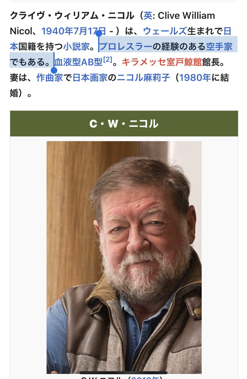 ニコル麻莉子画像