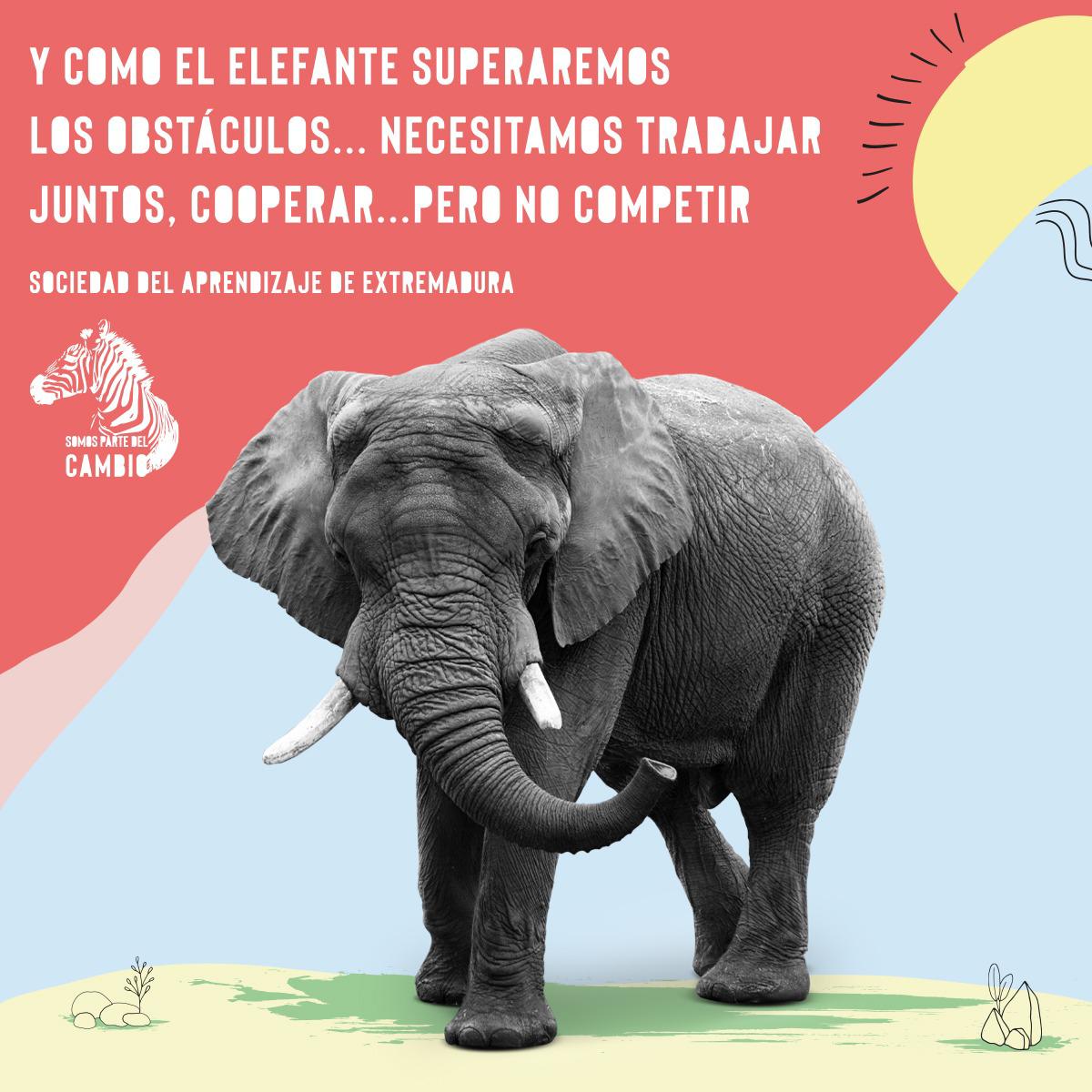 AprendizajeExt's tweet photo. 🔜 Y como el elefante superaremos los obstáculos... Necesitamos trabajar juntos, #Cooperar... pero no competir.

↪ Forma parte del cambio 🐘

#QuédateEnCasa 🙋‍♀️
#EsteVirusLoParamosUnidos https://t.co/rbXL8a5wFN