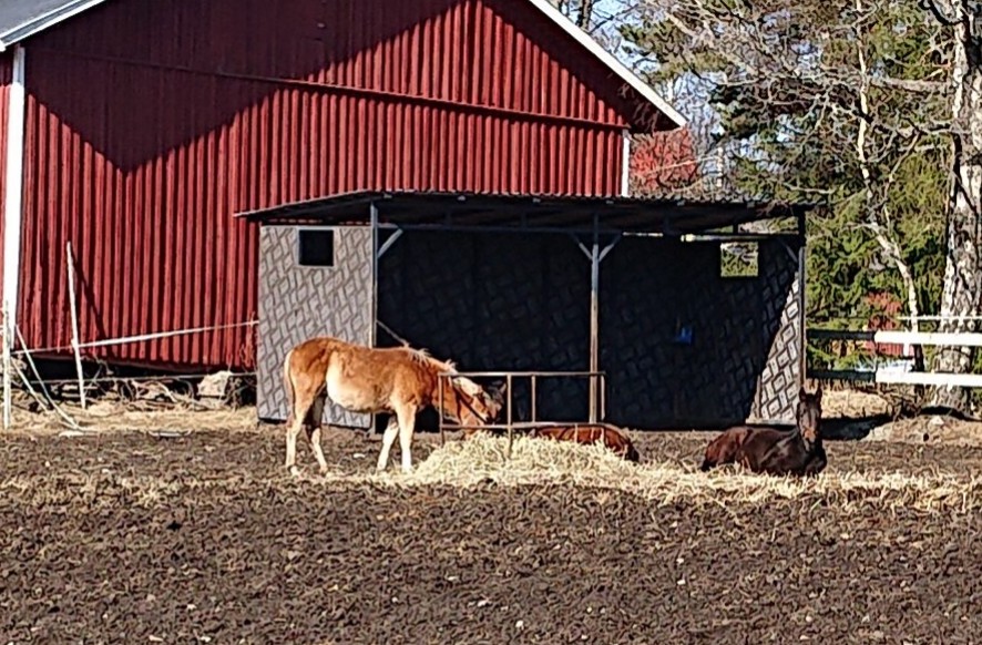 Putte syö ja päivystää kun hienohelmat nukkuu. 😁
