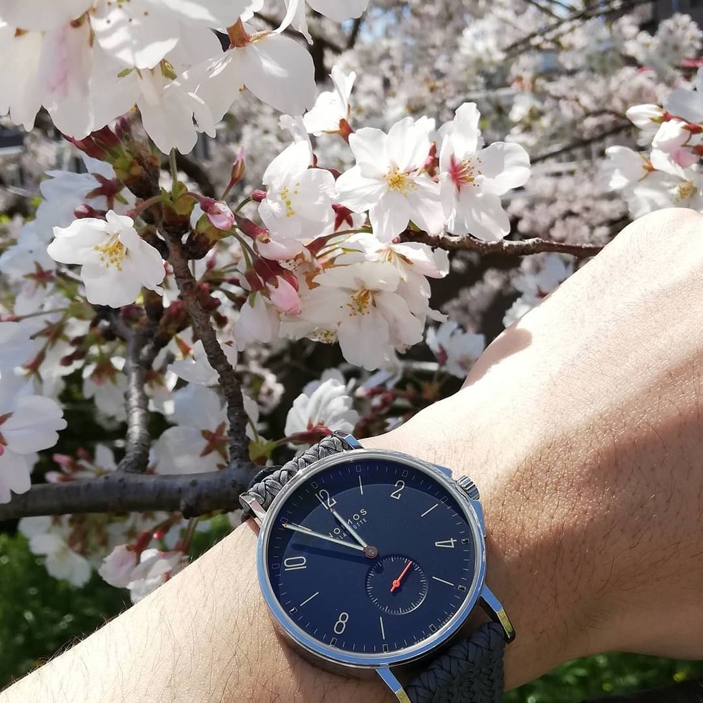 take87bluelover's tweet photo. #ノモス #ノモスアホイ #nomos #nomosahoi #nomoswatch #duw5001 #germanwatches #diverswatch #perlonstrap #eulit #桜 #nomos4s https://t.co/onQka9mRvF https://t.co/UbKL1i2klf