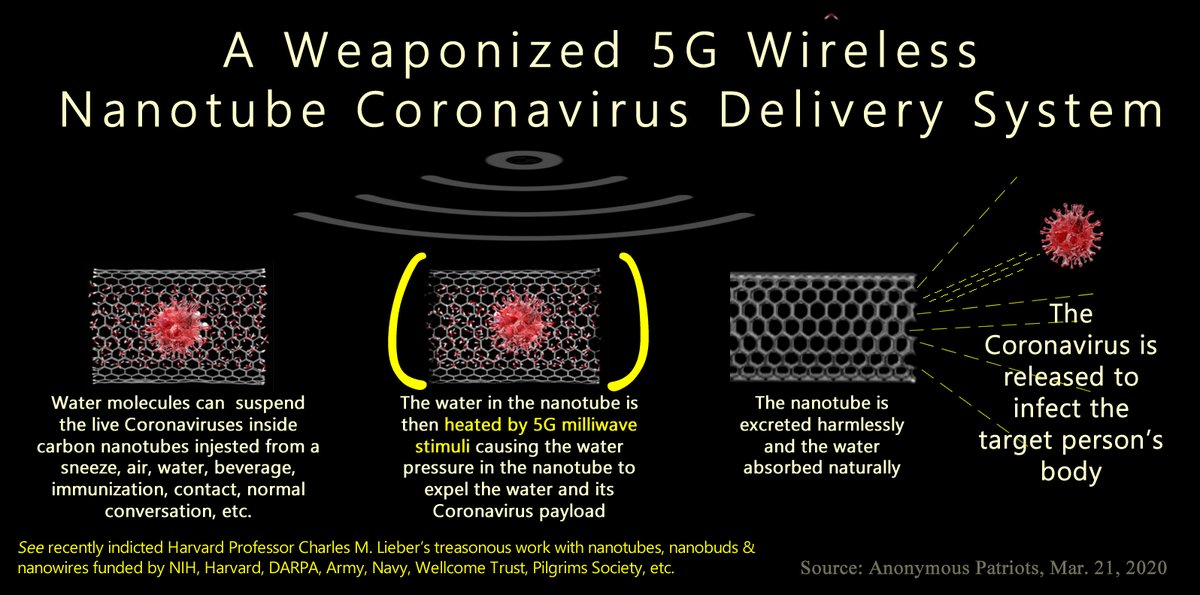 "A Weaponized 5G Wireless Nanotube Coronavirus Delivery System that Anthony Fauci paid Charles Lieber to build for NIH, DARPA, Gates Foundation, Wellcome Trust (The Pirbright Institute, UK, GlaxoSmithKline-GSK) & Pilgrims Society."