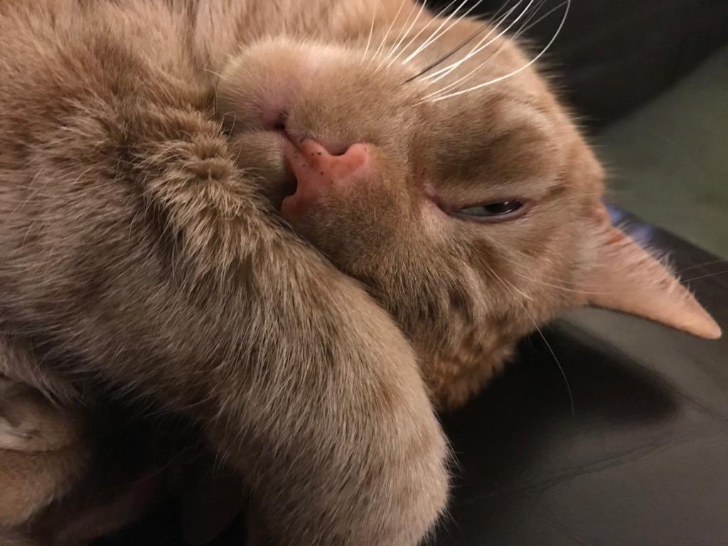 kmcb (@kmcb20) on Twitter photo 