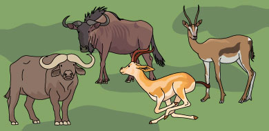 フリーカット フリーカット 動物 哺乳類 にイラスト素材を追加しました T Co Yum1gl55nd アフリカスイギュウ ヌー ガゼル インパラ T Co C4p3dttp6i Twitter
