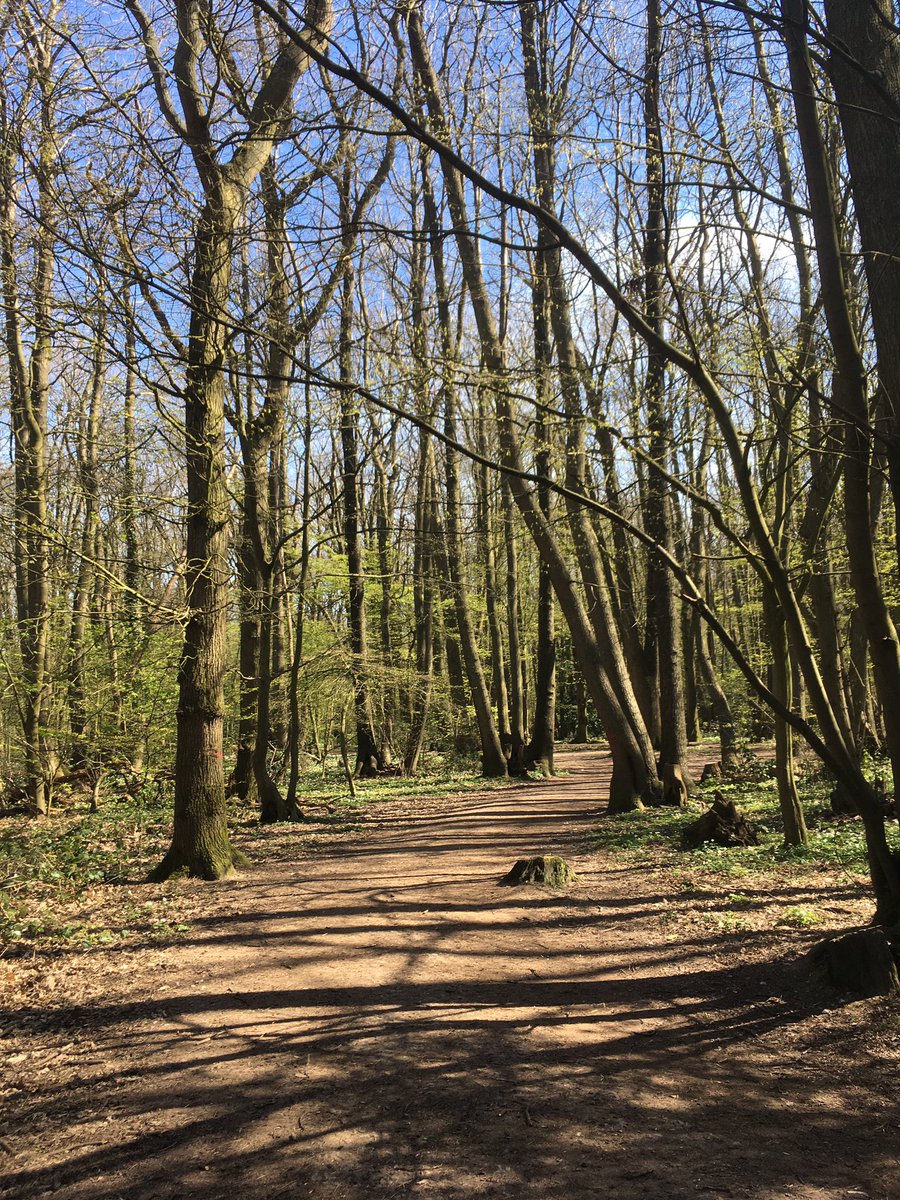 Demelza_Beth's tweet photo. Day 1 of #yourchallengeyourway 2.7 miles out of my 100 mile challenge walked at lunch 🌲 All of this uncertainty has led to us to be a lovely community, everyone we passed waved or said hello👋 @DemelzaHospice https://t.co/A3DWaH5a8U
