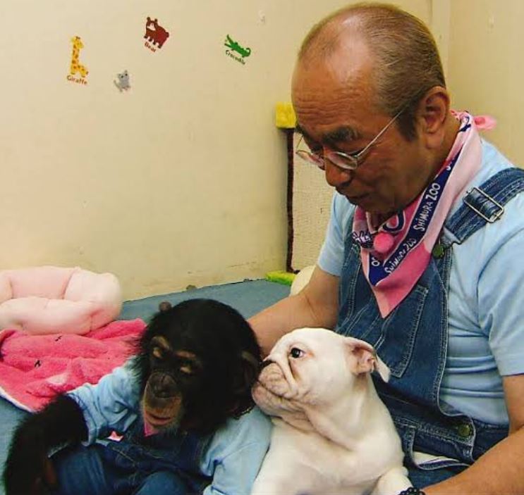 しろまゆ 2 3 2 13 大怪店 様の ケット シー展 参加 志村どうぶつ園 今頃 天国で園長はジェームスと駆け回っているんでしょうね T Co Am5sxphbjb Twitter