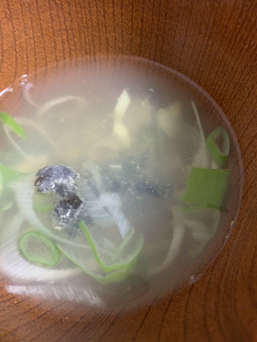 吉野七宝実 Auf Twitter 肝ポン酢で刺身とエンガワ ヒラメの胃袋ポン酢ネギ和え ヒラメのアラで出汁を取った皮入りお吸い物 こりゃ酒が進むな しほみんの漁師飯