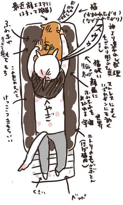 さっきまでの私とねこのwin-winの関係 