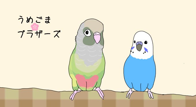 ブラザーズ うめ ごま