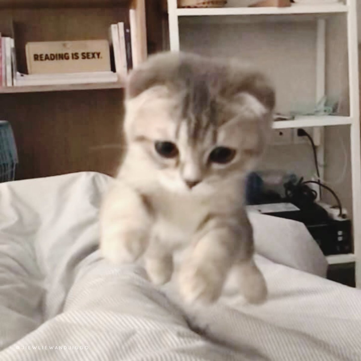 สมัยจิ๋วยังลอยได้ 🤣