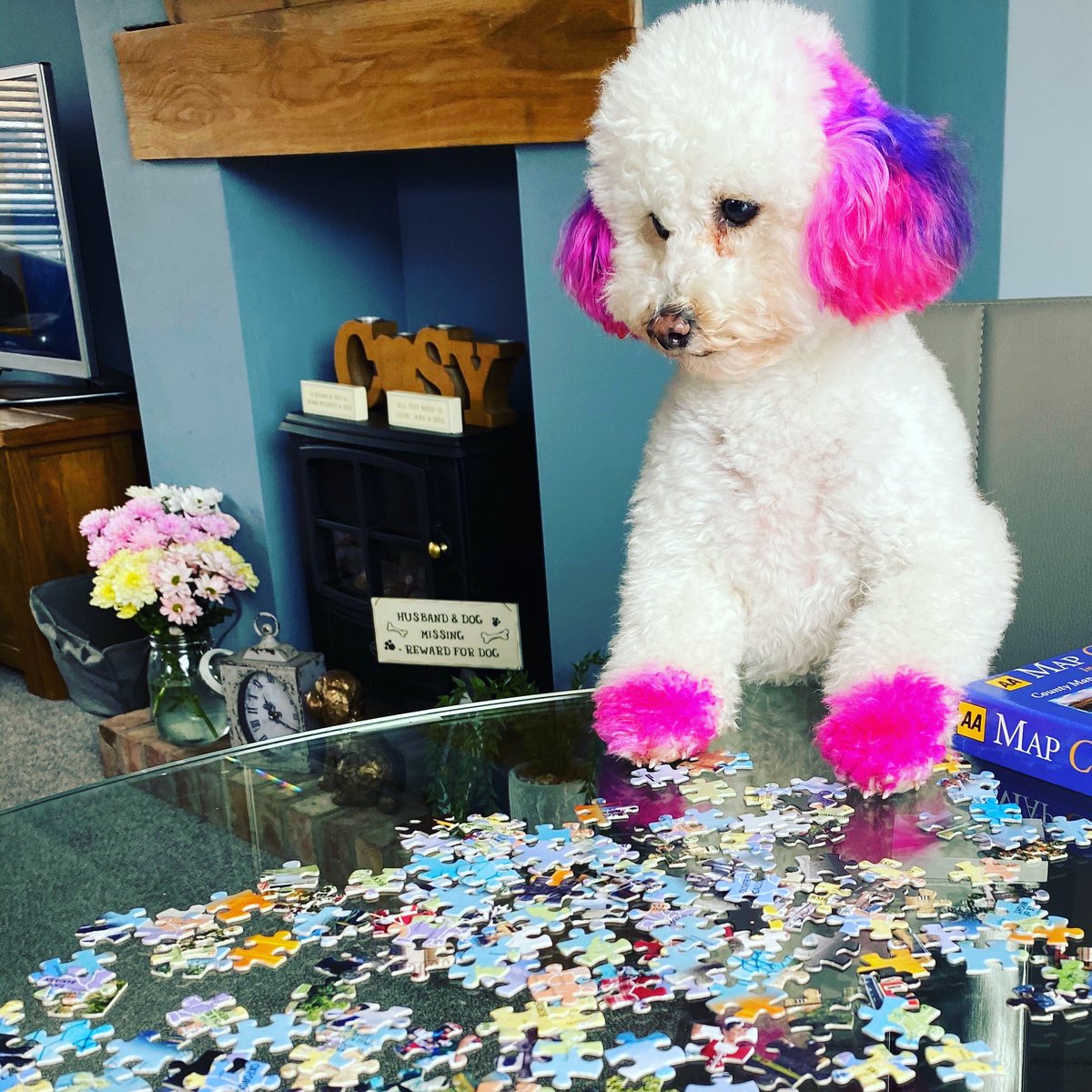 Looking for the corner pieces 😂