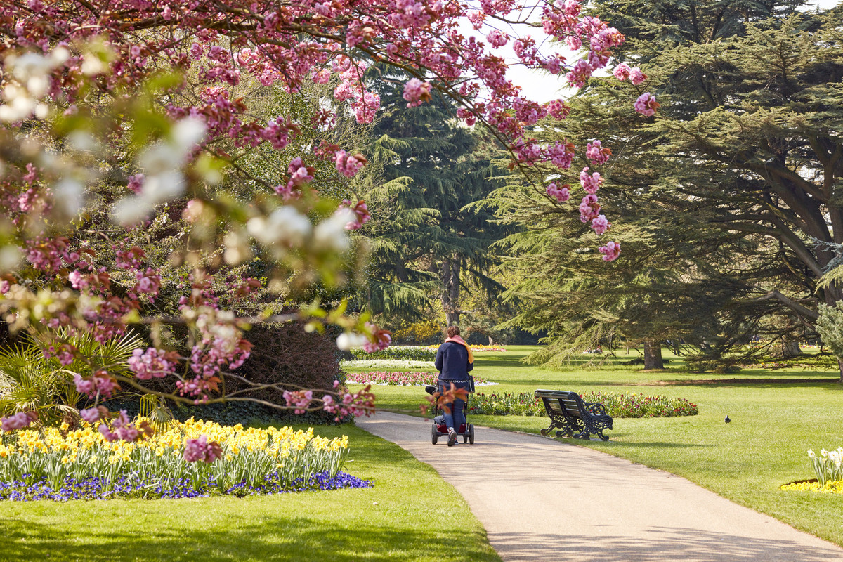 The Royal Parks tweet media