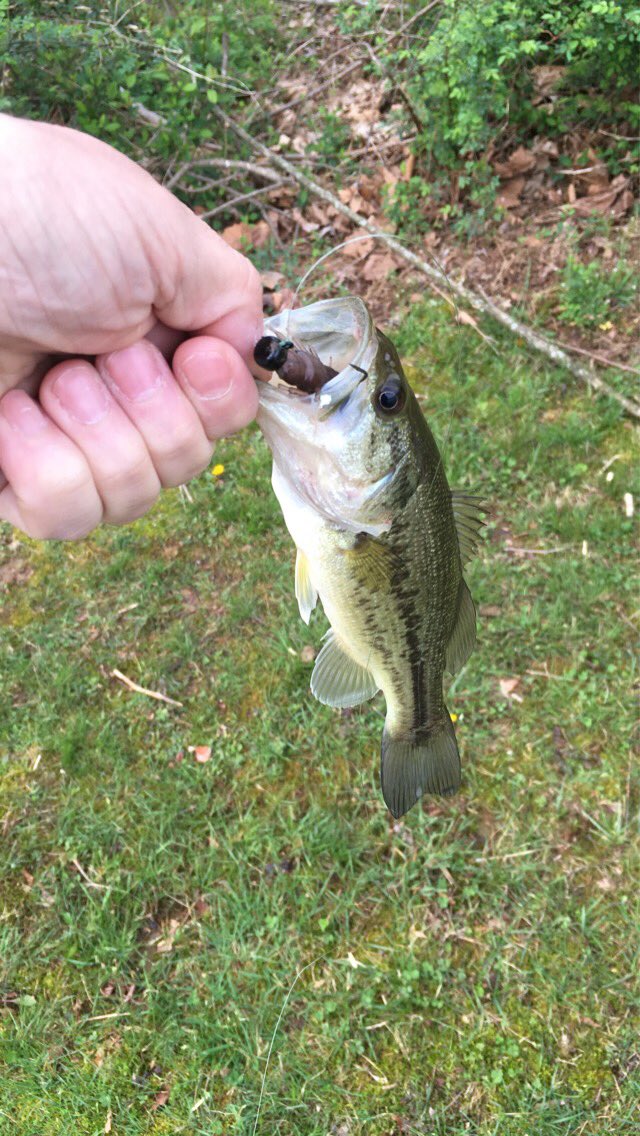 AndyWadeKY's tweet photo. Nikko Hellgrammite lure. #Nikko #BassCandy #BassFishing https://t.co/3fCAmATxX8