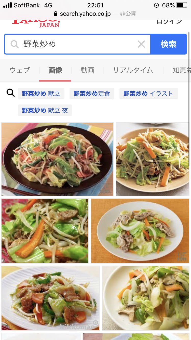 Atsa 実況者ジャンヌ No Twitter 一般的な野菜炒めも肉入ってるし 多少はね