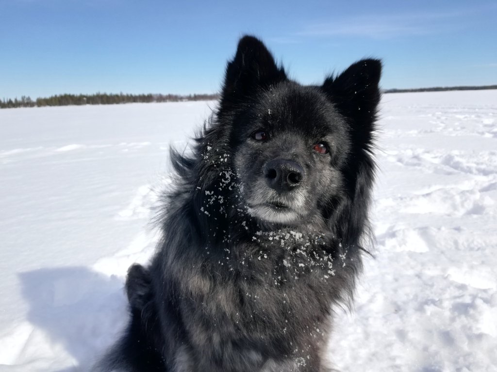 Frez (@imfrezyys) on Twitter photo 