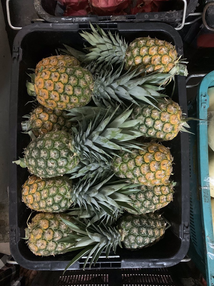 atengawesome's tweet photo. @JatIkhwan Hi. Helping my brother in law jual buah naga, honeydew, keledek, tembikai and nenas md2. Based in sg chua, kajang. Yg nak delivery kita boleh tlg arrange ☺️
Harga :
Nenas md2 - rm5/sebiji
Tembikai - rm10/sebiji (approx 4-4.2kg)
Honeydew - rm5/sebijik
Keledek ungu - rm3.50/kg https://t.co/SG5FGialBW