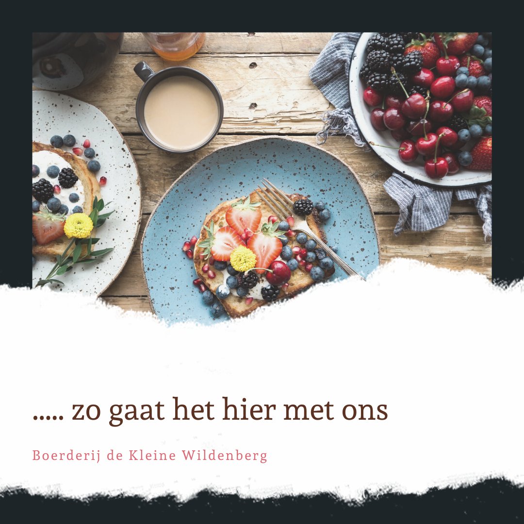 de Kleine Wildenberg tweet media