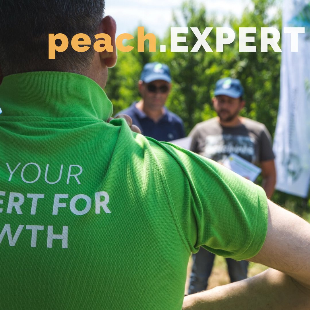 To Πρόγραμμα peach.EXPERT της COMPO EXPERT Ελλας στηρίζει το Ελληνικό Ροδάκινο
<a href="/aphatzitheo/">Apostolis Chatzitheodorou</a> <a href="/PanosChamakioti/">Panos (Panayiotis) Chamakiotis</a> <a href="/D_Drolias/">Dimitris Drolias</a> <a href="/Sotiria_Maroula/">Sotiria Maroula</a> 
#cropcentric #precisionnutrition #ποιοτικοροδάκινο #foodchain