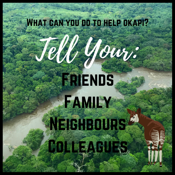 okapiproject's tweet photo. What can you do to help Okapi? Tell your friends about the them! Most people don’t even know what an okapi is. One of the best ways to help protect a species is to make people aware of them! ! Check out our information page: https://t.co/Kvt7iwlM3E
#helpokapi https://t.co/08r6lY4GHb