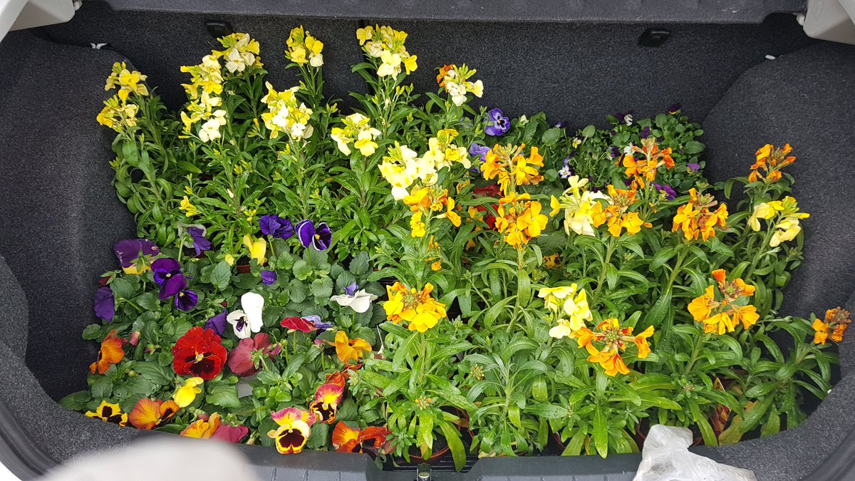 mark4thorne's tweet photo. Great resilience and happiness on the doorstep in Thorne delivering flowers and plants to the elderly for their MH/Wellbeing. Thank you @BandQ Doncaster.
@SusanJDurant @MayorRos @GillGillies @nightgibson @DoncasterDamian @RupertSuckling @MyDoncaster @doncasterccg @eastareateam https://t.co/XcTEN6veNN