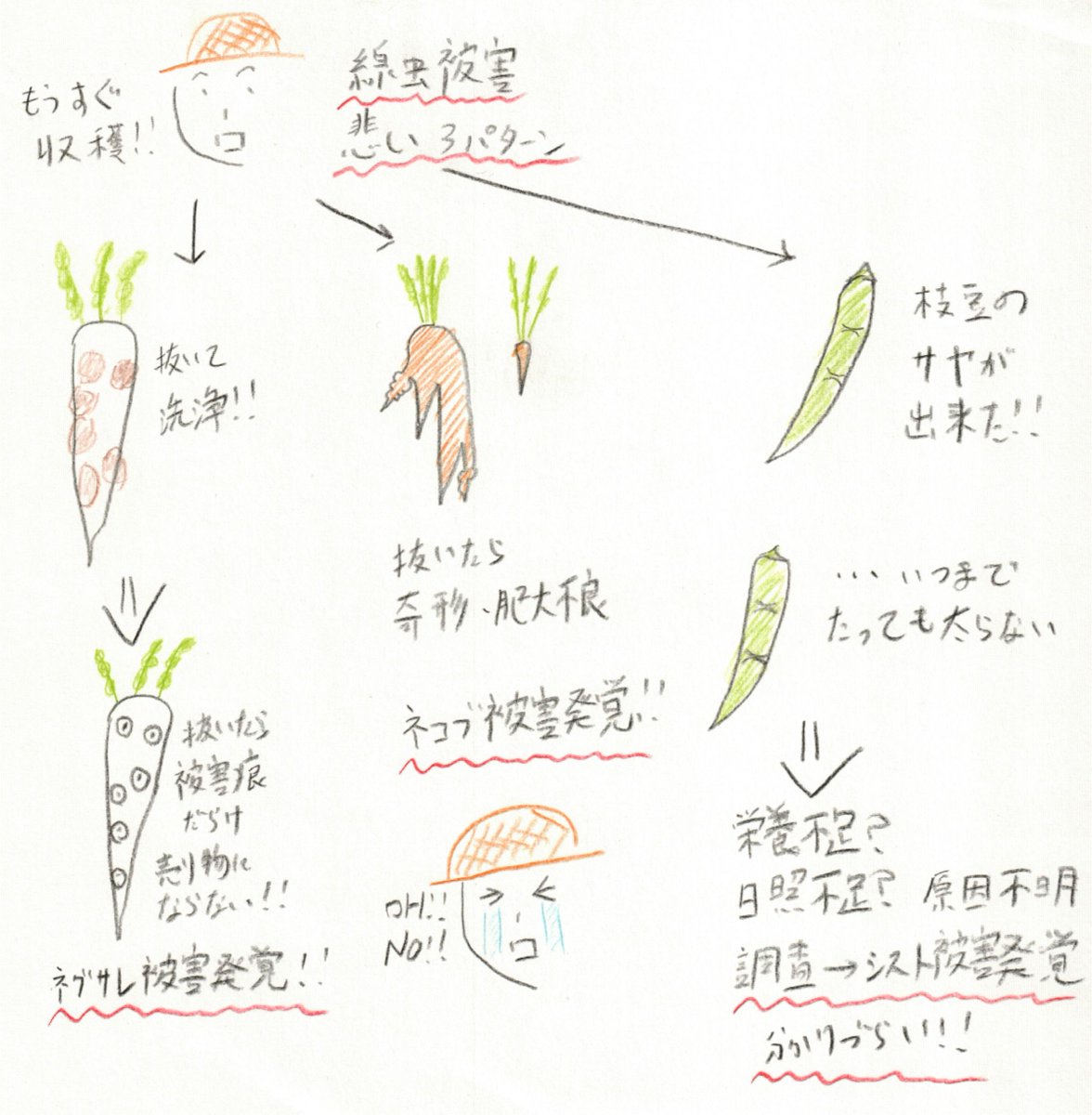 Ppn Lab 現場での線虫被害発覚のパターン シストセンチュウ被害は意外と分かりづらいです ネコブも根を観察しないと果菜類ではサイレントで収量持ってかれます 農業を盛り上げよう 線虫 Ppn Lab 現場での線虫被害発覚のパターン シストセンチュウ被害は意外と分かりづらいです ネコブも根を観察しないと果菜類ではサイレントで収量持ってかれます 農業を盛り上げよう 線虫