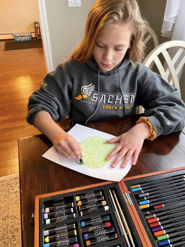 SachemSchools's tweet photo. So many of our wonderful students have been working hard on their STEM assignments and projects at home. Here is a snapshot into a few students from Nokomis Elementary. https://t.co/iWiuA2rpfr