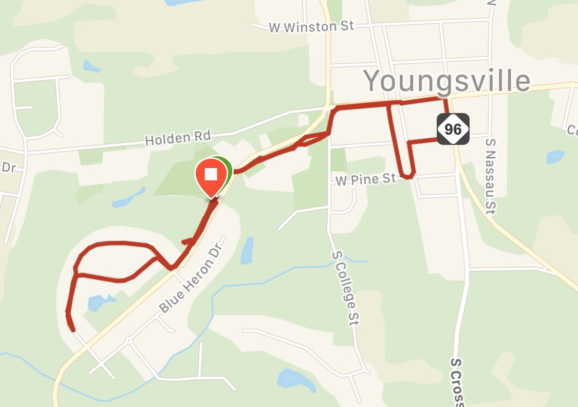 sarahcrawfordnc's tweet photo. Planned to do the Run the Rails 5k in Youngsville.  Race cancelled, so decided to run through town by myself (w my #campaigndogs). https://t.co/eOW1j5WGpY