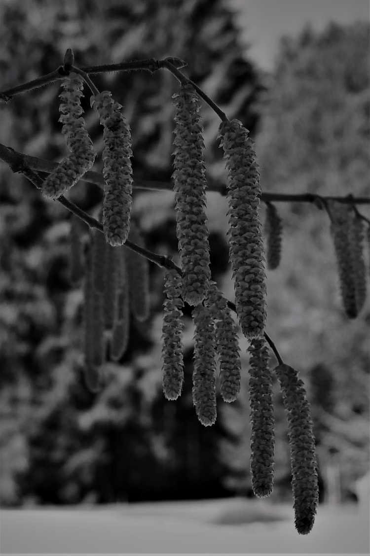 Egbert_Beuker's tweet photo. Day 4/7 to tell about my life without words. I was nominated by @MariRusanen https://t.co/JU0zK3bT2y
