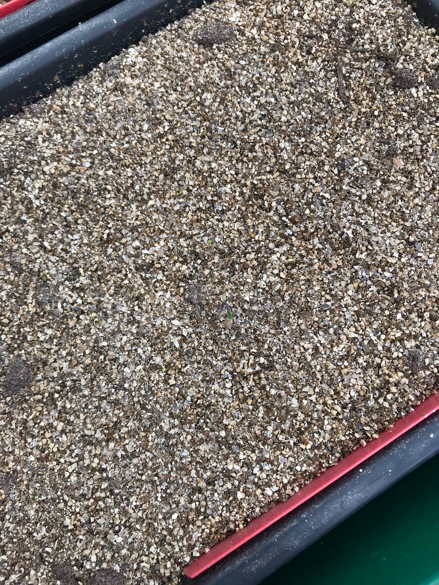 Gill Williams tweet media