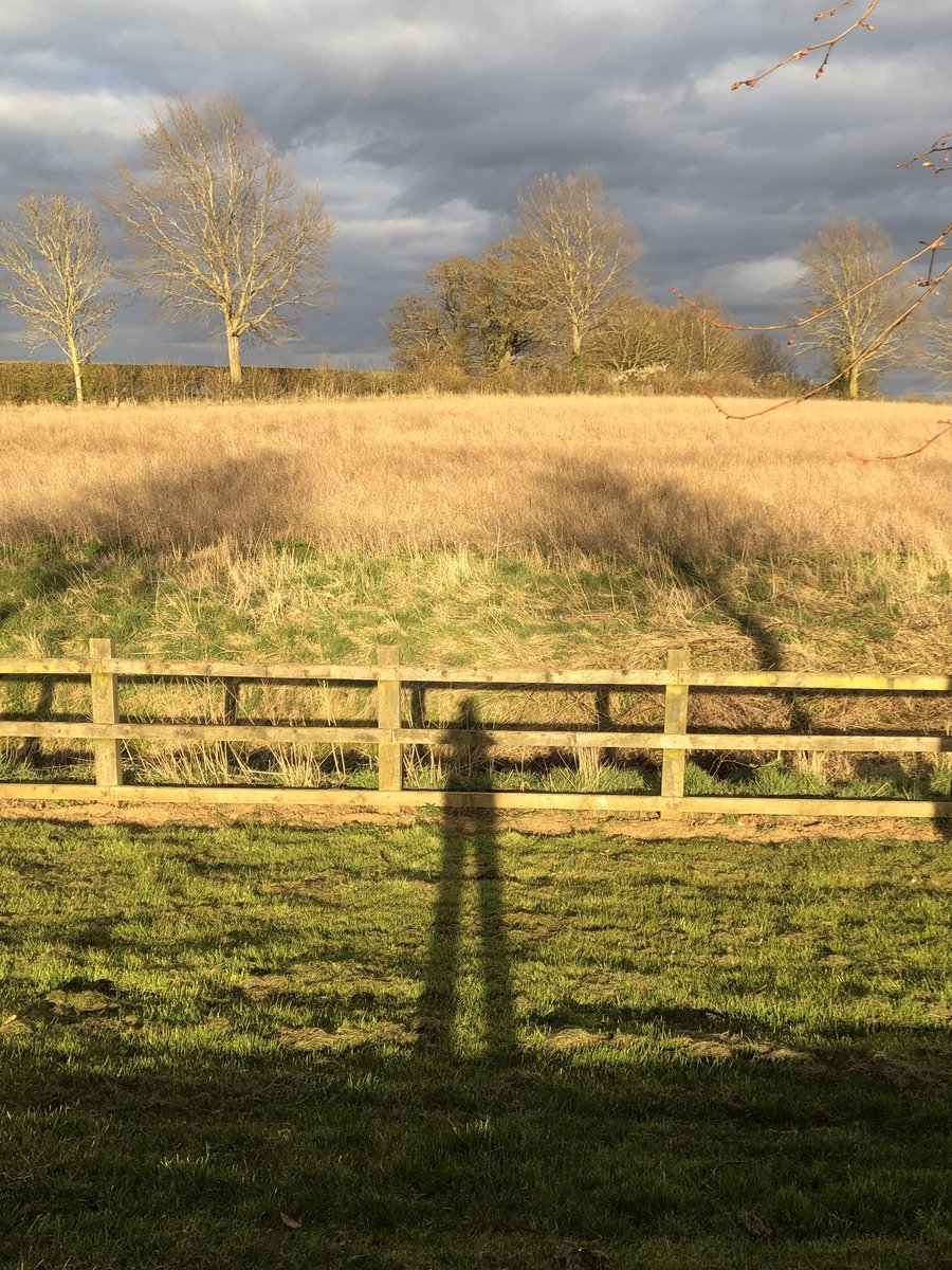 Out for my daily exercise yesterday.. maintaining social distance ... beautiful day lifted my mood  🌳🌲😊#StayHomeSaveLives #StayHome #coronavirus