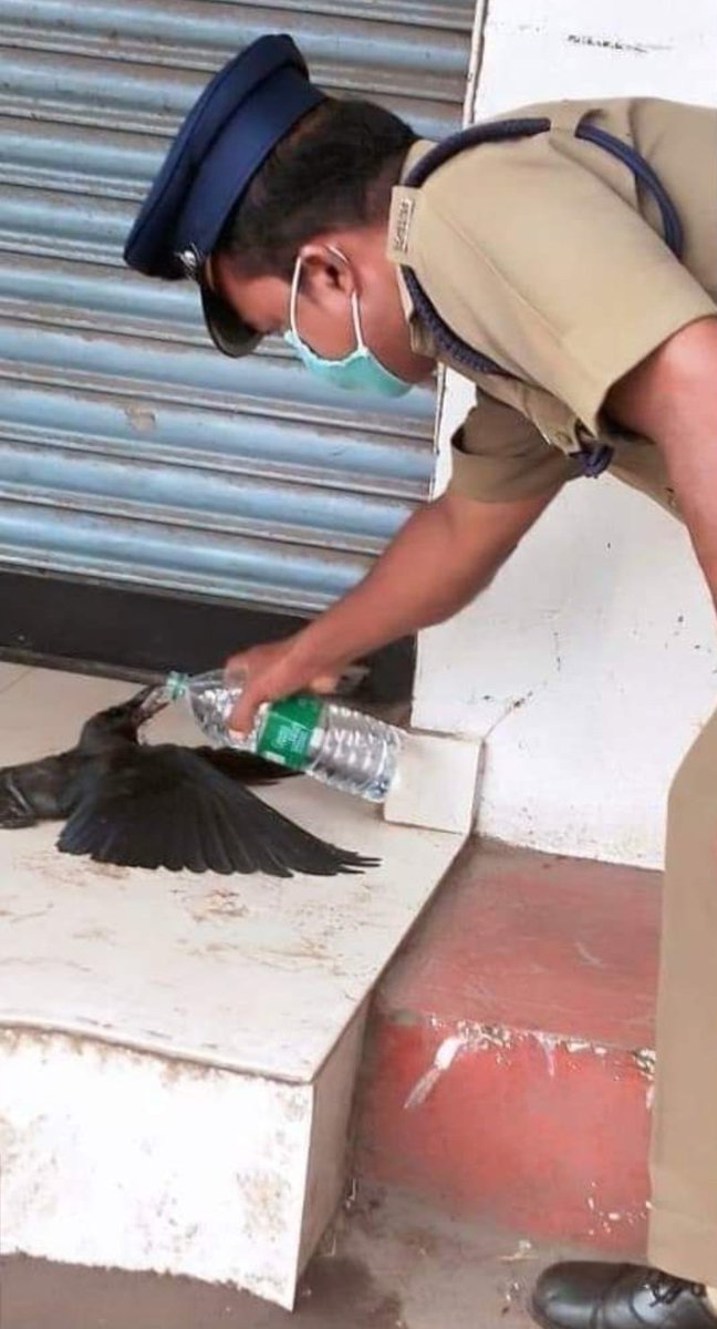 iamsnih's tweet photo. Great work done well done @hydcitypolice
help someone not for the reward.
but for the sake of changing a life. https://t.co/Mew7nx4UfJ