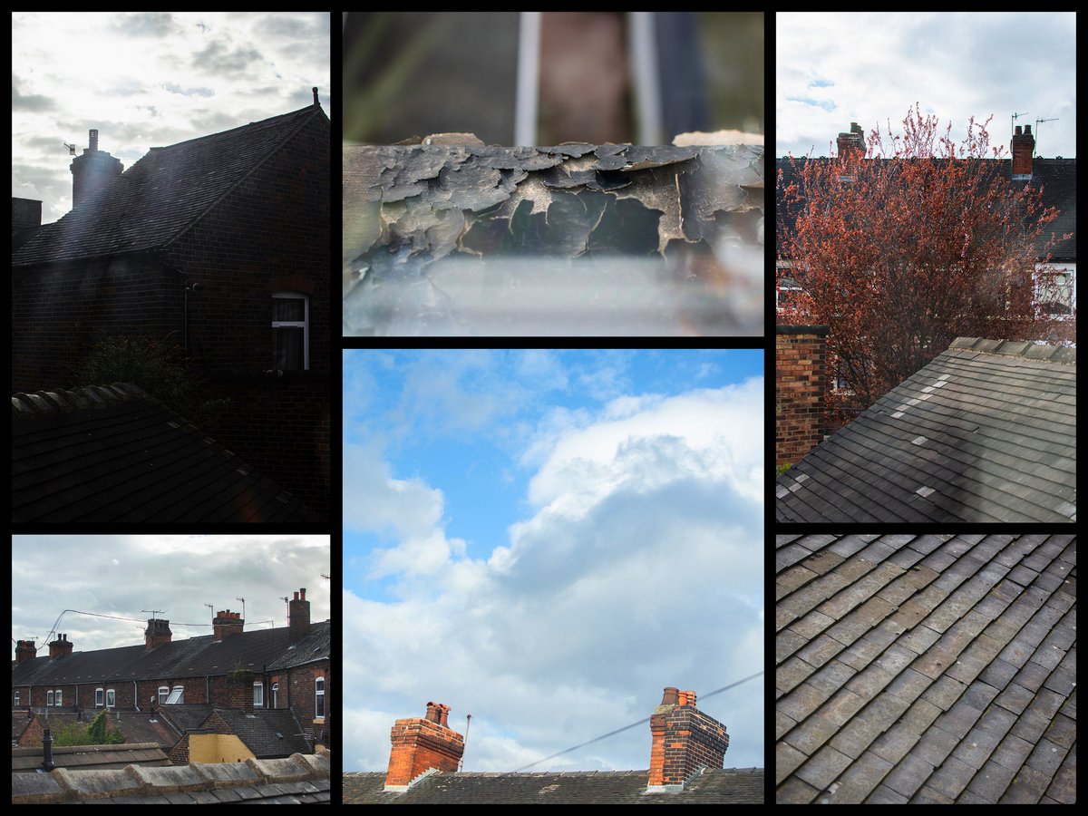 _SEPhotos_'s tweet photo. I haven't got a garden as such but windows can be just as fun to shoot from 😉
More to come soon 🖤
.
.
.
#stayhomesaveslives #lockdown #photography #homelife #indoorphotography #adapting #fun #creative #stayinspired #outdoors #collage #colourful #springtime https://t.co/MuULdPK1cA